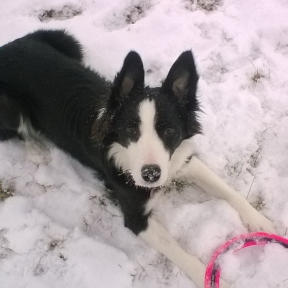 Meet your Posher, Heather - Picture 1 of 1